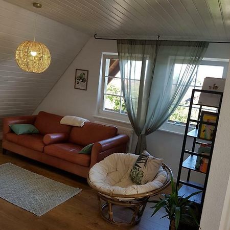 Schoene, Helle Fewo Fuer 4 Personen Apartman Ettenheim Kültér fotó